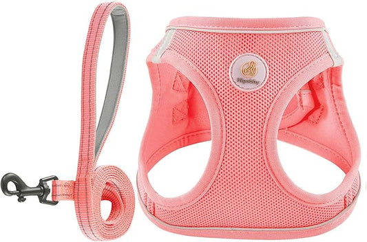 Hipubby Dog Harness and Leash Set, No Pull Soft Mesh Puppy Harness for Small Medium Dogs, Cats - Step in Reflective Breathable Lightweight Vest Harness for Walking, Training - Pink, M