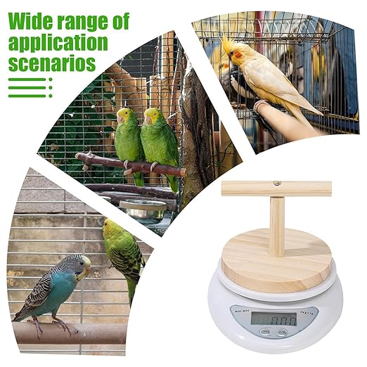 Parrot Scale - Small Pet Digital Scale | Bird Weight Balance Tool, Budgies Weighing Scale, Bird Weight Measuring Tool, Convenient Weight Changing Monitoring Tool for Medication Milk Powd
