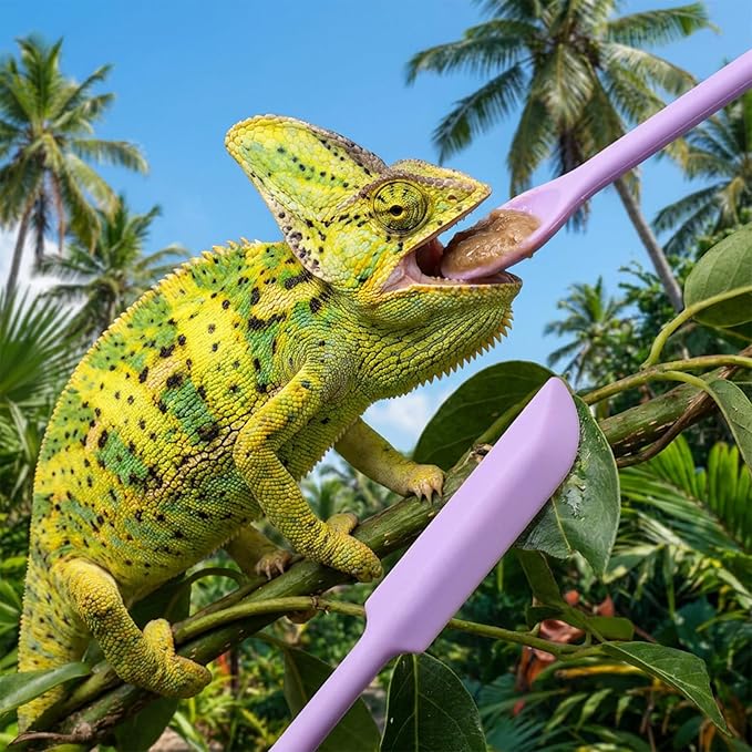 EupHHonycs 2Pcs Crested Gecko Food Mixing Spoon Long Handle Reptile Fruit Mixing Stirring Food Feeding Spoon Feeding Tool Fit Crested Gecko Gargoyle Bearded Dragon