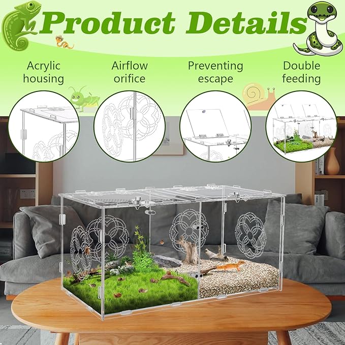 Acrylic Jumping Spider Enclosure with Double Compartments, Large Size,15.7 * 7.8 * 7.8 inches, Reptile Terrarium Aquarium Breeding Tank for Reptiles Spiders Snake Lizard