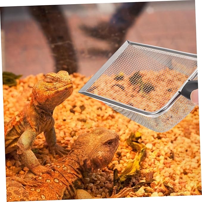 Abaodam 1pc Stainless Steel Reptile Sand Scoop Ergonomic Handle for Easy Excrement Removal Tortoise and Lizard Terrariums for Cleaning Substrate and Litter Areas
