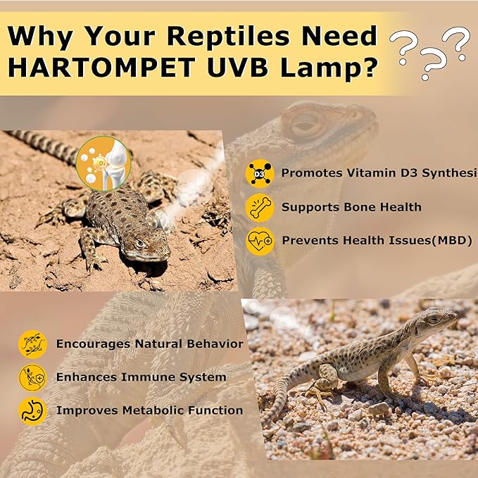 UVB 10.0 Reptile Light 26W, Compact Fluorescent Lamp, Coil UVB Desert Bulb for Bearded Dragons, Lizards, Tortoises, Snakes & Reptile Tanks