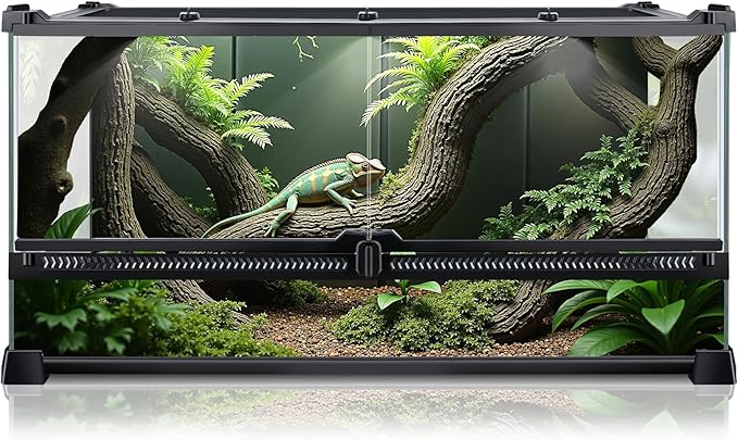 Reptile Terrarium 20"x12"x10", Full Glass Tank Enclosure for Small Reptiles, Geckos, Frogs, Lizards, Snakes, Spiders, Turtles, Rainforest Terrarium Habitat
