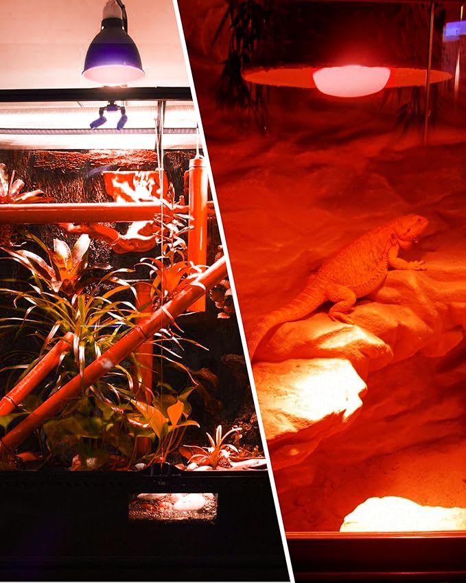 EvaStary 100W Infrared Heat Lamp Bulbs, 2 Pack Reptile Red Heat Lamp Bulb Infrared Basking Spot Light for Reptiles for Bearded Dragon, Turtle, Lizard, Snake, Chickens, Pets