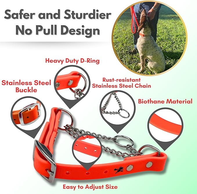 Martingale Collar for Dogs, Biothane, Stainless Steel Hardware, No Pull, Made in The USA, Professional Grade, Small, Orange
