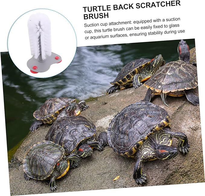 Abaodam Turtle Shell Cleaning Brush with Strong Suction Cup ?€? Soft Bristles Turtle Back Scratcher for Aquatic Tortoise Tank ?€? 1-Piece Exfoliating Brush for Reptile Care