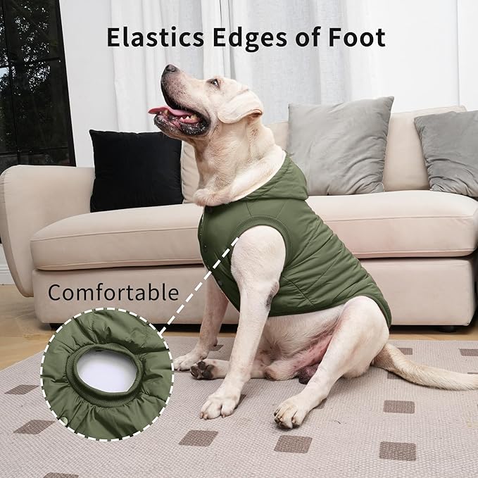 Vecomfy Fleece Lining Extra Warm Dog Hoodie in Winter for Small Dogs Jacket Puppy Coats with Hooded Green M