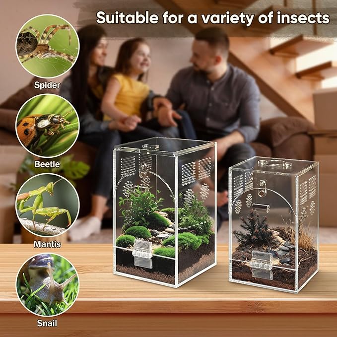 Jumping Spider Enclosure, Acrylic Insect Terrarium, Praying Mantis Habitat, No Assembly Required, 2-Size Kit
