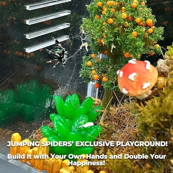 Jumping Spider Enclosure,DIY Insects Habitat,Small Reptile Terrarium Glass House Accessories Set,with Temperature and Humidity Detector Water Feeder Platform Hide,5.5“x5.5”x9.5“ (Farm)