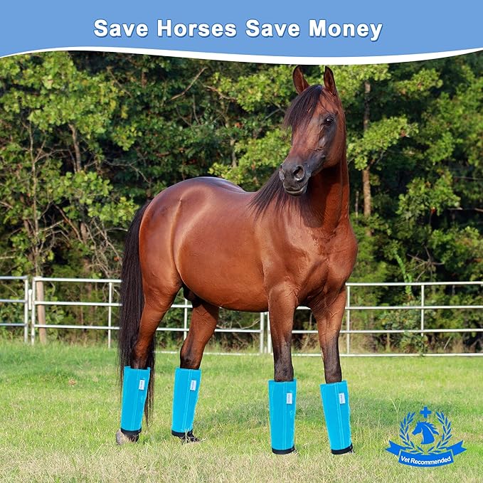 Horse Fly Boots Set of 4, Mesh Boots for Horses, Leggings for Horses, Reduce-Stomping, Breathable Mesh, Loose Fitting, Stay Up Not Sag, No Rub