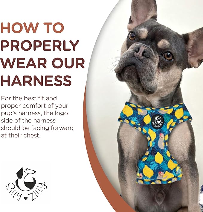 No Pull Harness and Leash Set - 6-in-1 Adjustable Vest Harness and Collars for Medium and Large Dogs. (Lemon, Small)
