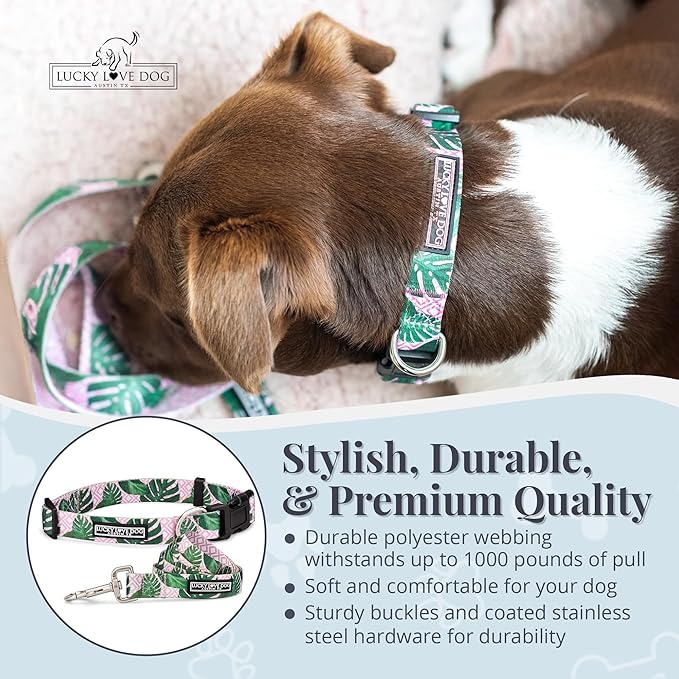 Lucky Love Dog, Tropical Matching Dog Collar & Leash Set, Soft & Comfy, Vivid Pink Color Collar and Leash for Female Male Dogs - (Medium, Laguna Combo)