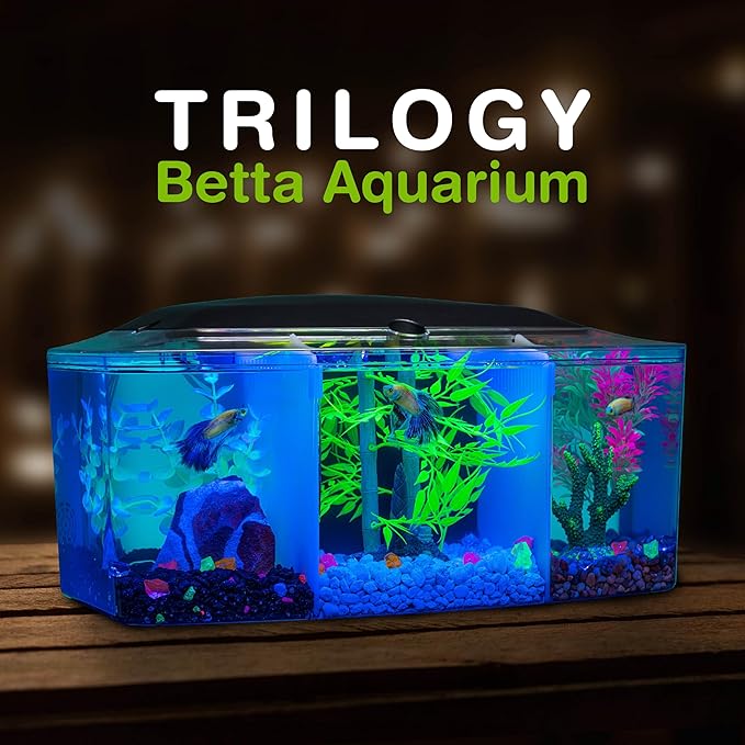 GloFish Betta Trilogy Aquarium, 3 Gallons, Includes LED Lights and Filter
