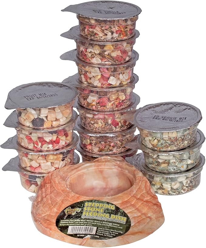 Healthy Herp Box Turtle Food Instant Meal for Reptiles - Nutritious Turtle Food, Tortoise Habitat Accessories - Made in USA - for Box Turtles, Lizards, Tortoises - Variety Pack (14 Cups & 1 Dish)