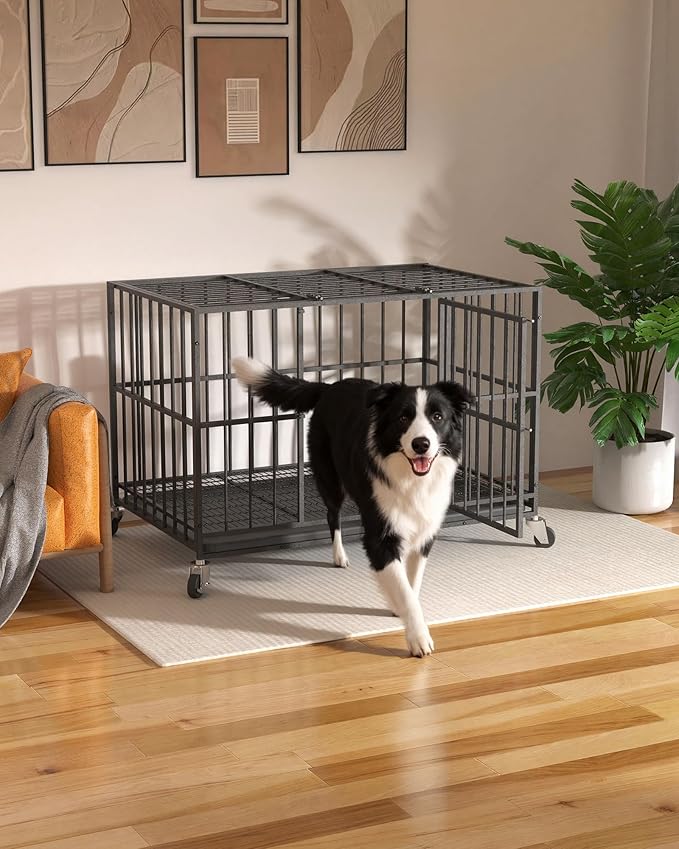 42 in Heavy Duty Dog Crate Steel Escape Proof, Indoor Double Doors and Lockable Wheels,Removable Tray, for Medium and Large Large Dog Breeds,XL