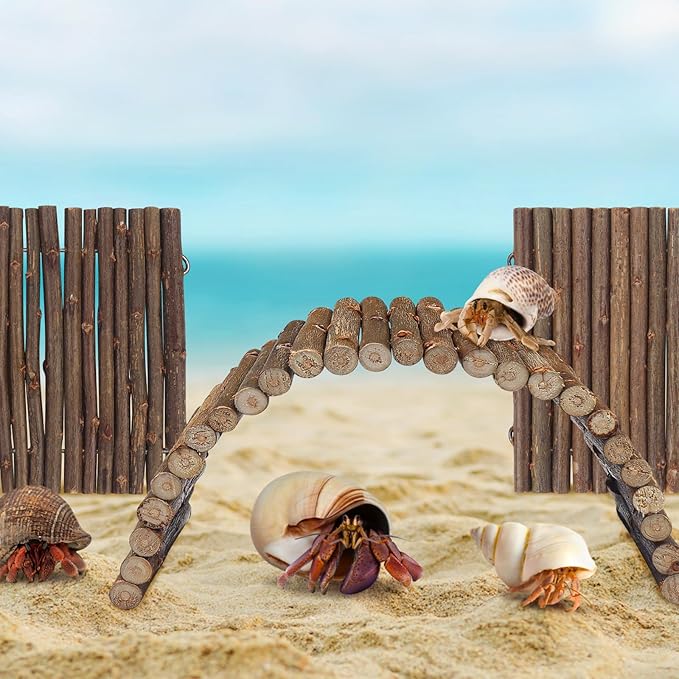 QUOZUO 2PCS Reptile Hideout Hermit Crab Bendable Bridge, Wooden Hermit Crab Hideout Climbing Toys, Reptile Tank Habitat Decor Hiding Hut for Lizards, Mice, Spiders