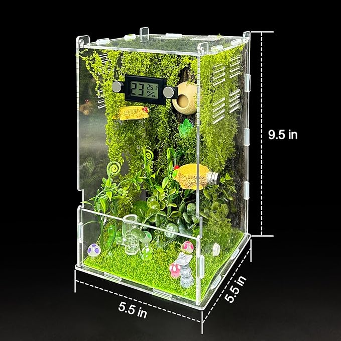 Jumping Spider Enclosure,DIY Insects Habitat,Small Reptile Terrarium Glass House Accessories Set,with Temperature and Humidity Detector Water Feeder Platform Hide,5.5“x5.5”x9.5“ (Forest)