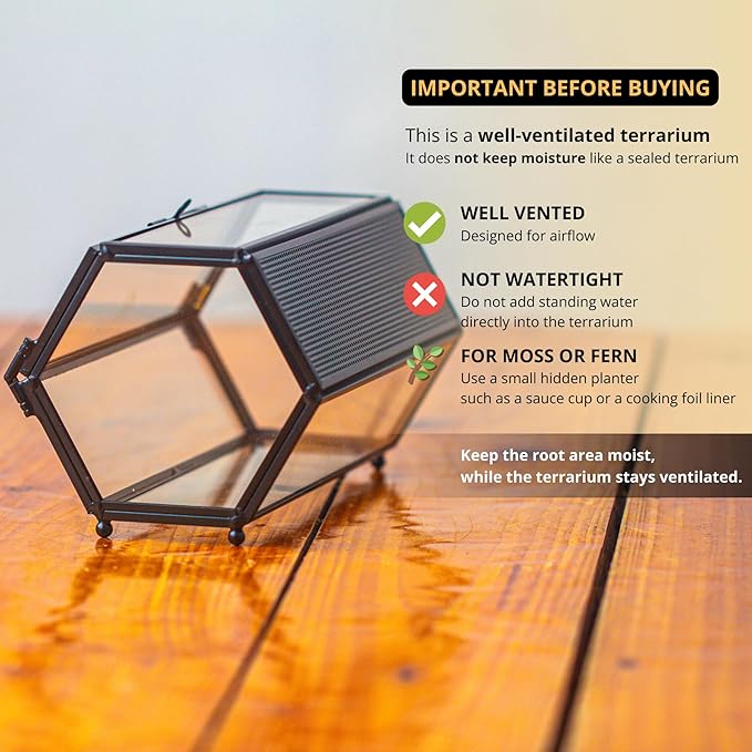 NCYP Small Glass Terrarium Enclosure with Mesh & Door for Tiny Beetle, Jumping Spiders, Hexagon Vented Glass Terrarium 6.8'' x 4.1'' x 3.6'', Indoor Decor, Black (Plants Not Include)