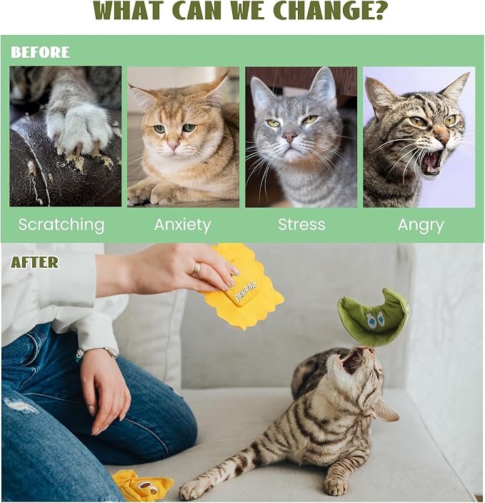 Pawsible 3 Pack Ravioli Catnip Toys for Indoor Cats, Interactive Cat Toys Filled with 100% Organic Catnip, Plush Chew Toys for Kittens, Teething Soft Catnip Toys for Cats - Image 4