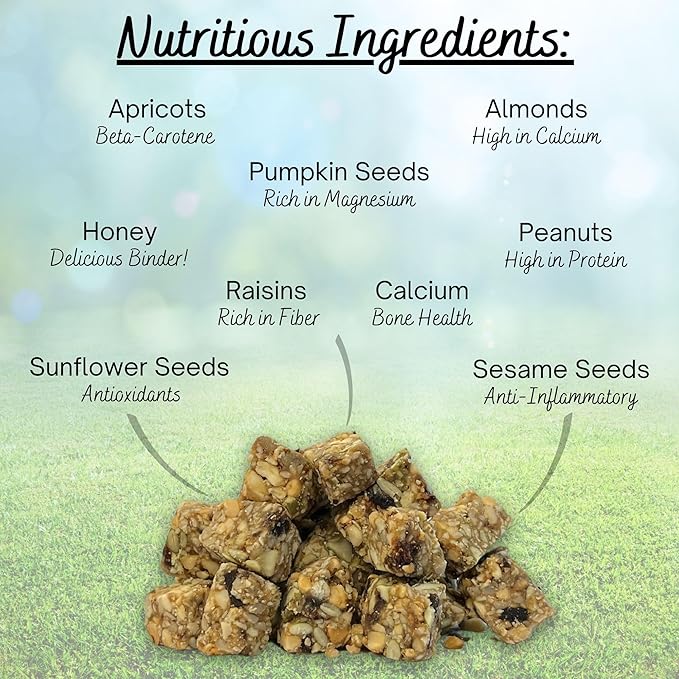 Exotic Nutrition Squirrel Beneficial Blocks - Healthy & Unique Supplemental Food with Nuts & Seeds, 10 oz