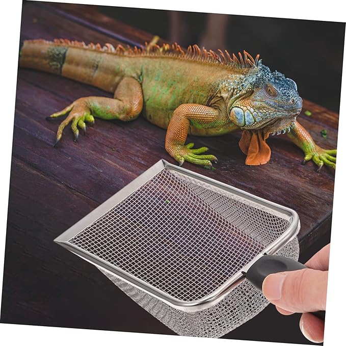Abaodam 1pc Stainless Steel Reptile Sand Scoop Ergonomic Handle for Easy Excrement Removal Tortoise and Lizard Terrariums for Cleaning Substrate and Litter Areas