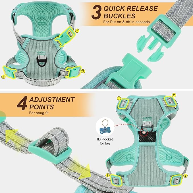 BEAUTYZOO No Pull Dog Harness, Adjustable Dog Harness and Leash Set -Easy Wearing with 3 Buckles/Control Handle,No Choke Soft Padded Reflective Pet Vest for Training Walking Hiking,Solid Aqua Blue XL