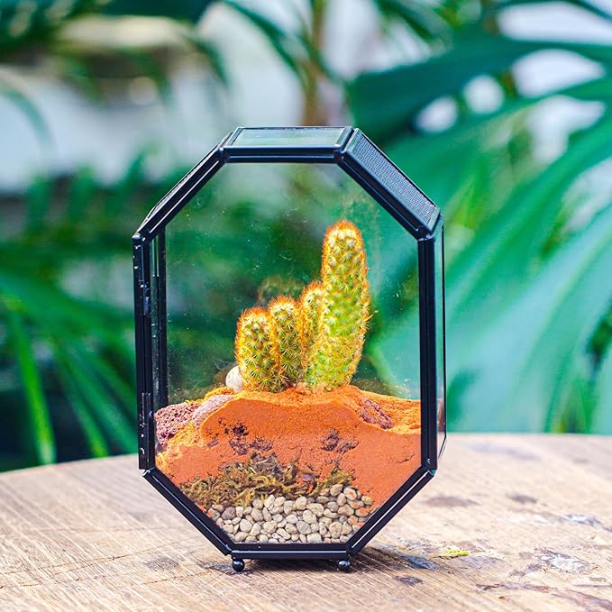 NCYP Mini Vented Glass Terrarium with Vent and Door for Jumping Spiders - Octagon Small Spider Enclosure, Black, Tabletop Decor, 5 x 2.3 x 7 Inches (Terrarium Only)