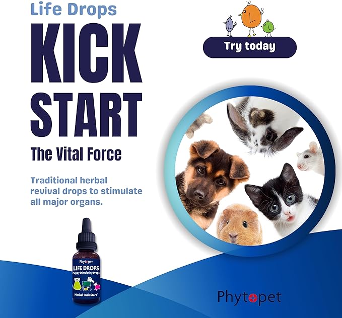PhytoPet Life Drops | Natural Herbal Stimulant for Newborn & Elderly Pets | Ideal for Puppies, Kittens, Birds, Foals | 10ml