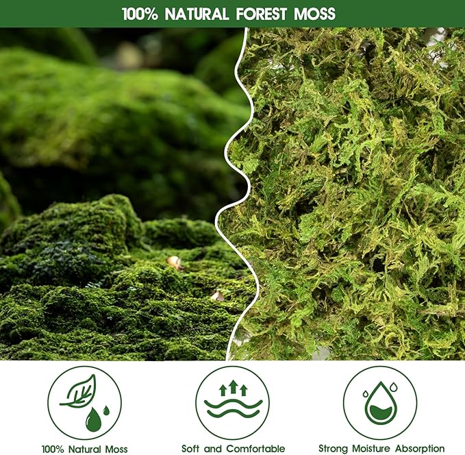 14OZ Sphagnum Moss for Reptiles, Terrarium Natural Green Dried Peat Habitat Bedding Plants for Snakes Gecko Forest Frogs and Turtle Accessories Substrate (50QT)