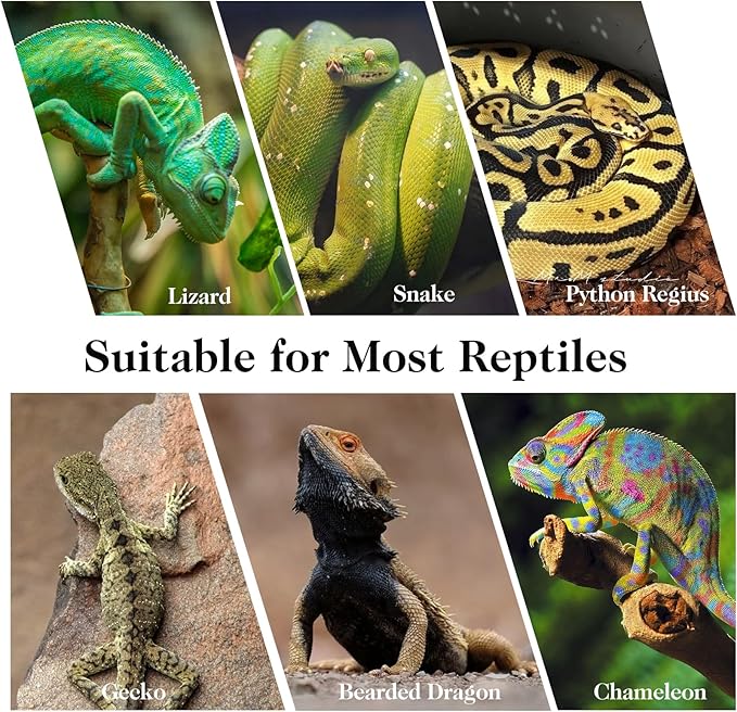 VCEPJH 2 Pack Reptile Wood Branches, Snake Climbing Branch Natural Bearded Dragon Log Tank Accessories Tree Trunk for Chameleon Gecko Snake Frog Spider