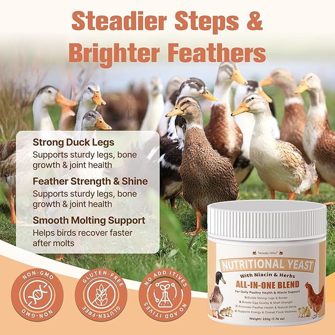 Nutritional Yeast for Ducks & Chickens - Up to 10X More Niacin Than Brewers Yeast for Chickens - Duck & Chicken Vitamins for Strong Bones, Immune Support, Molting & Egg Quality-for Chicks & Ducklings