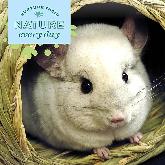 Oxbow Timothy Hay Bungalow, Rabbit & Guinea Pig Hideout, Edible & Hand-Woven Bunny House, No Wires or String, Small Pet Accessories, for Rabbits, Guinea Pigs, Chinchillas & Rats, Large