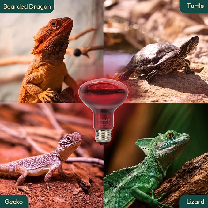 ALAMPEVER 2 Pack Red Heat Lamp Bulb, 100 Watt Infrared Light Bulb for Bearded Dragon, E26 Base, Durable Reptile Heat Bulb for Amphibian, Lizard, Tortoise, Gecko