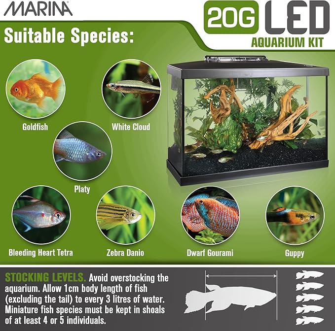 Marina 20 Gallon LED Aquarium Kit – Complete Fish Tank Setup with Filter, Lighting & Accessories