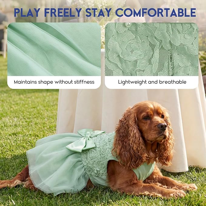 ASENKU Dog Dress Pet Wedding Dress Princess Lace Puppy Birthday Party Outfit Formal Apparel Girl for Small Medium Dogs Cats (XX-Small, Green)