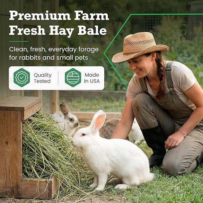 Border Valley Bermuda Grass Hay Bale in Bag, 40 lb, High Fiber Hay for Rabbits, Guinea Pigs, Chinchillas, Tortoises, Horses and Livestock - Soft Textured Grass, Farm-to-Home Freshness