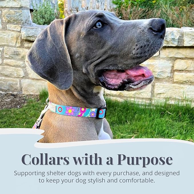 Lucky Love Dog Collars, Cute Small Dog Collars for Female Dogs, Part of Purchase Donated to Rescue, Caroline, Small