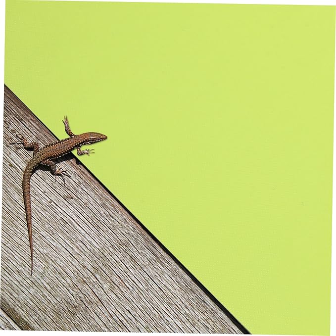 ORFOFE 2Pcs Reptile Terrarium Pad Green Non-Absorbent EVA Substrate Carpet Soft Floor Bedding for Snake Habitat and Reptile Cage