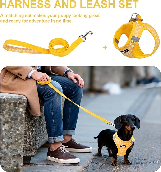 AIITLE No Pull Dog Harness and Leash Set, Step in No Chock Soft Mesh Dog Harnesses Reflective for Extra-Small Puppy Dogs and Cats, Plaid Dog Vest Harness for Pets Yellow XXS