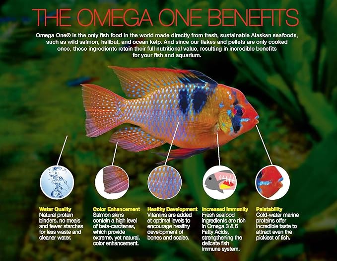 Omega One Goldfish Pellets, Sinking, Small, 2.75 lb x1