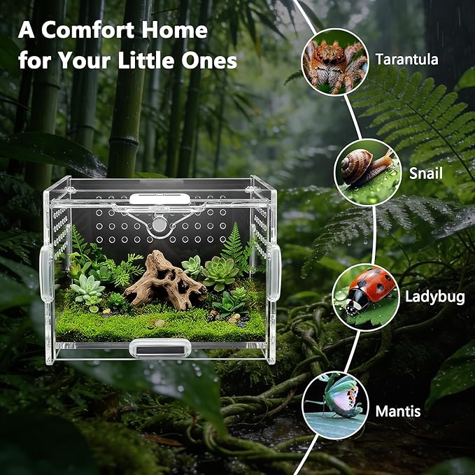 Acrylic Jumping Spider Enclosure - Multi-Purpose Reptile & Insect Habitat Cage with Ventilation for Jumping Spiders,Arboreal Tarantula, Scorpion, Lizard, Snake, Gecko, Snail & Isopod(3.9x3.1x2.7'')