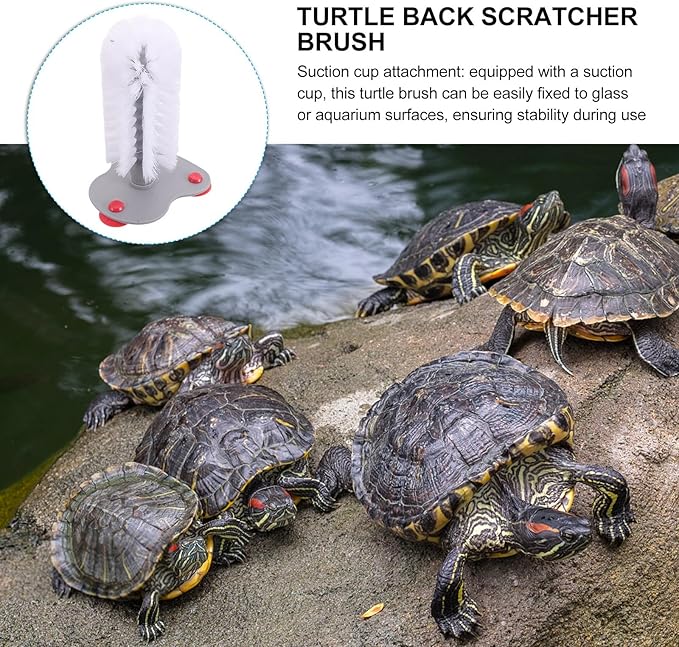 Toyvian Turtle Shell Cleaning Brush with Suction Cup Soft Bristle Turtle Scratcher for Aquarium Reptile Supplies and Shell Maintenance