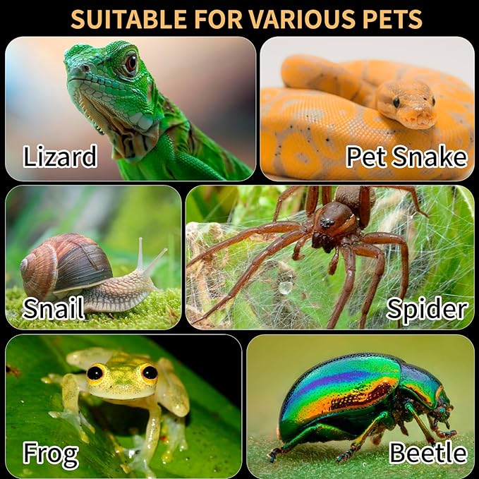 Acrylic Reptile Terrarium Easy Assembly, 360° Clear & Keep Pet Secure Design for Jumping Spiders, Tarantulas, Geckos Scratch-Resistant Large Ventilated Habitat Terrarium for Arachnids 11.8*7.9*7.9in