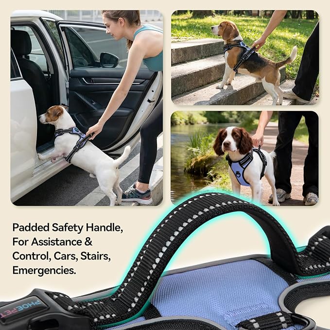PHOEPET No Pull Dog Harness Reflective Adjustable with 2 Metal Leash Hooks and Soft Training Handle [Over The Head Design](L, Baby Blue)