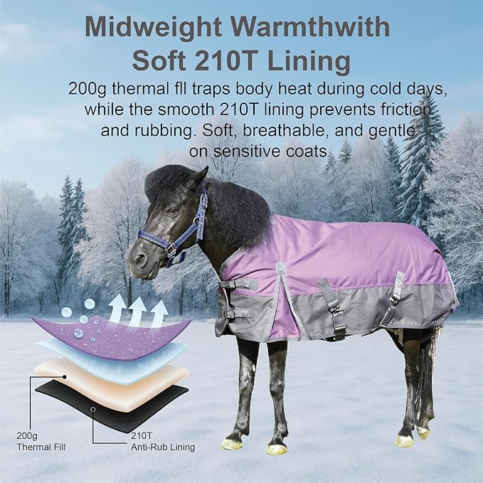 1200D Ripstop Mini Horse/Pony Blanket, Medium Weight 200g Fill - Waterproof Breathable Warm Winter Turnout Blanket for Foal/Weanling/Yearling/Donkey/Mule Violetgrey 66