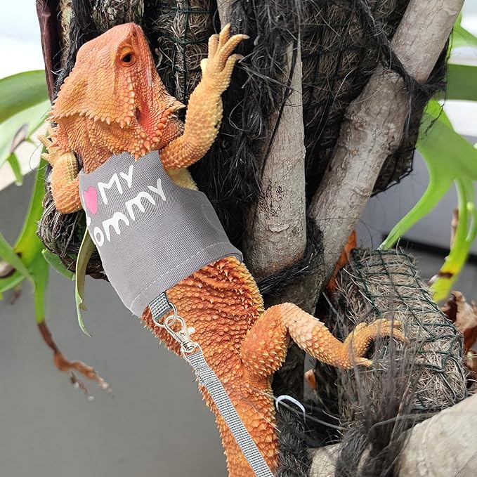 CUSOZWO Bearded Dragon Harness and Leash Set - Cute Lizard Reptile Small Animal Adjustable Harness Clothes with Short Leash for Walking Outdoor
