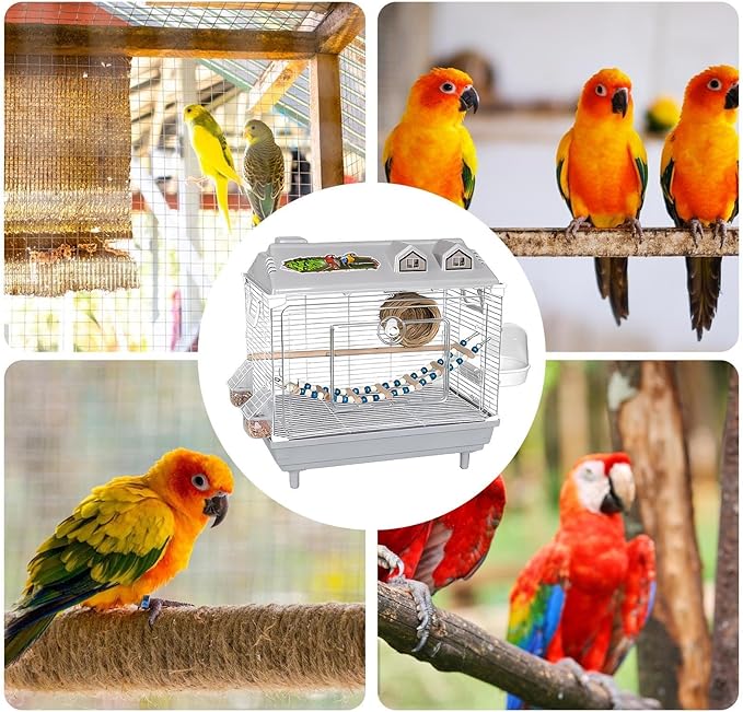 Clear Parakeet Carrier - Portable Bird Cage, Cockatiel Cage with Wooden Perch for Indoor Birds, Sturdy Practical Design Feature, Bird Accessory, Lovebird Finches Cages Use