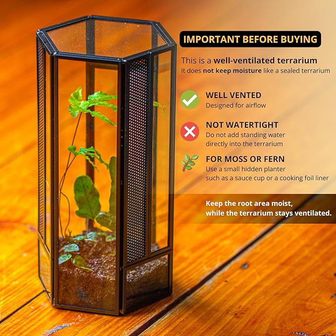 NCYP Glass Enclosure Terrarium with Mesh and Door for Small Spiders - Hexagon Shape, Small Mantis Vented Glass Terrarium 4.1'' x 3.6'' x 7.8'', Tabletop Decor, Black (Plants Not Include)