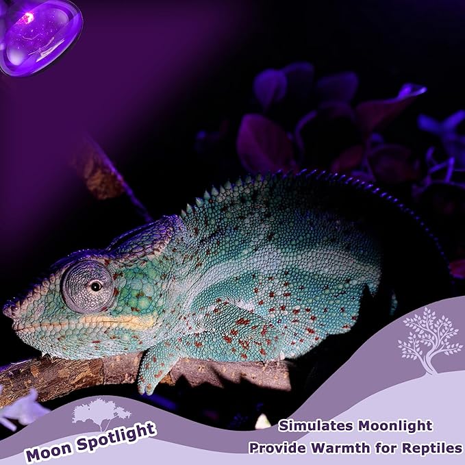 75W Reptile Night Light Bulb – Purple Basking Spot Lamp with Simulated Moonlight for Lizards, Chameleons, Snakes, Turtles, Amphibians – UVA Heat Light – 2 Pack | 3.2"
