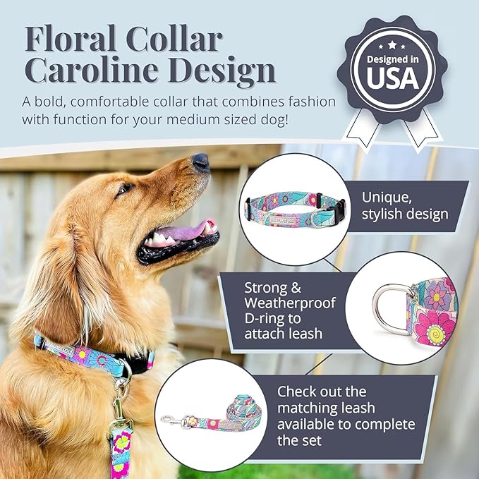 Lucky Love Dog Collars, Cute X-Small Dog Collars for Female Dogs, Part of Purchase Donated to Rescue, Caroline, Extra Small
